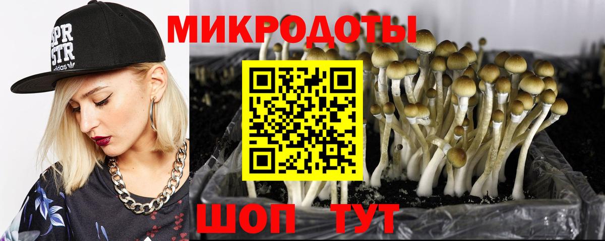 ГАШ Гусиноозёрск