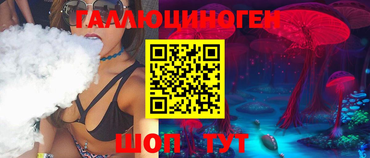 Гусиноозёрск  Галлюциногенные грибы прущие грибы  Вход с VPN 